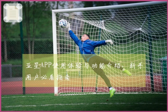 亚星APP使用体验与功能介绍，新手用户必看指南
