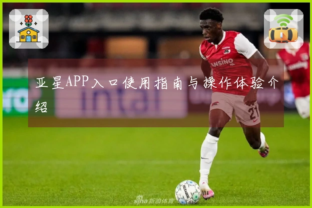 亚星APP入口使用指南与操作体验介绍