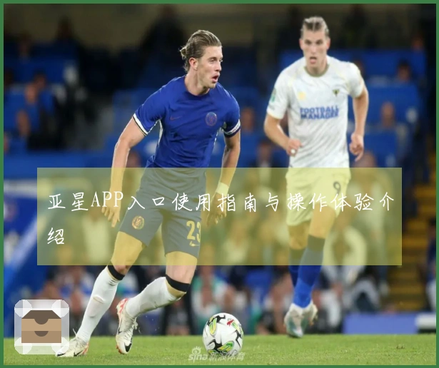 亚星APP入口使用指南与操作体验介绍