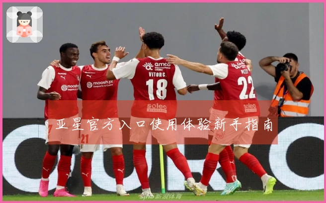 亚星官方入口使用体验新手指南