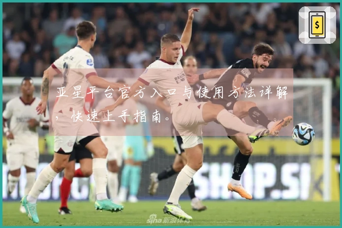 亚星平台官方入口与使用方法详解，快速上手指南。