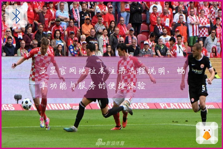 亚星官网地址及注册流程说明，畅享功能与服务的便捷体验