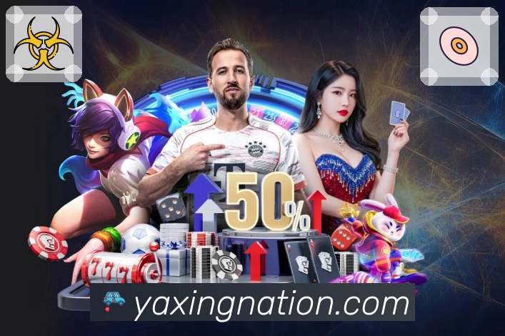 集锦回放与复盘